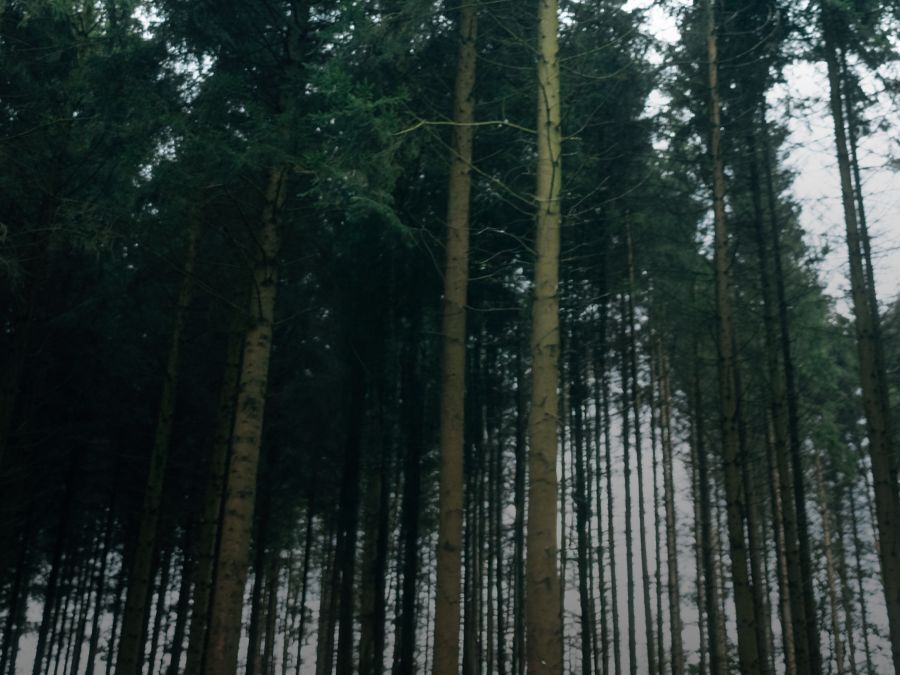 &Eacute;quipement Sacs &agrave; dos journ&eacute;e