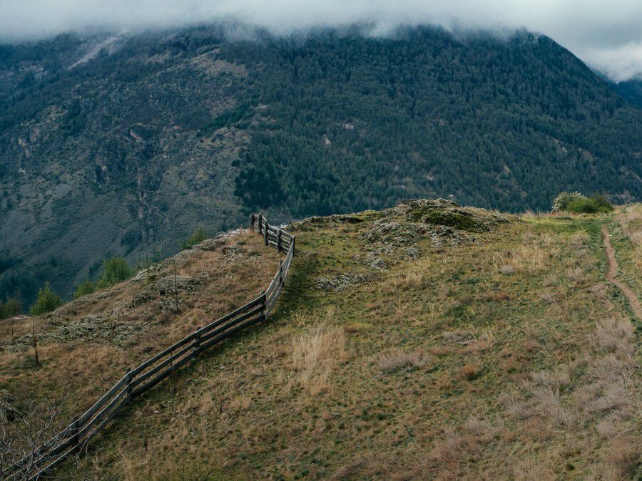 Hommes ASI Approved Products