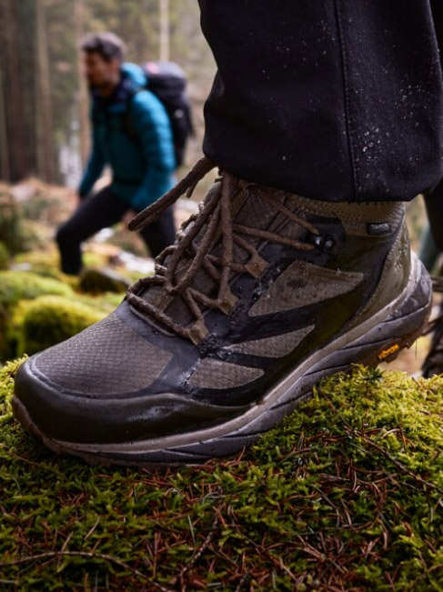 Chaussure sur sol forestier