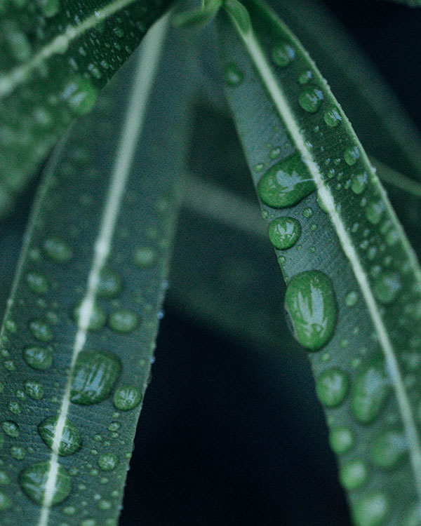 Protection de l'environnement