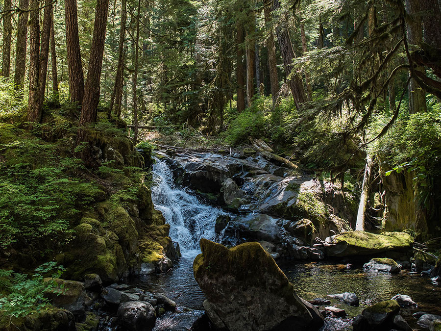 Protection de l'environnement