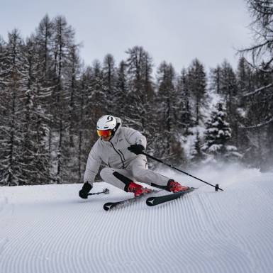 Image de catégorie pour le ski
